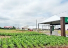 Espaço do Agronegócio será palco da abertura do Plantio da Soja no Brasil