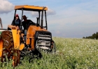 Produtores intensificam atividades de preparo para plantio de culturas de inverno 