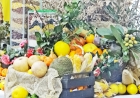 Agricultura Familiar receberá destaque com programação especial em Santa Rosa