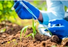 Bioinsumos: a agricultura do futuro
