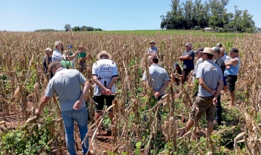 Agricultores de São Paulo das Missões participam de Dia de Campo com 23 variedades de milho