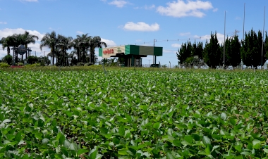 Expodireto Cotrijal: parque da feira já está movimentado