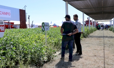 Cores na cozinha da 8ª Expoagro