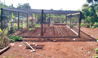 Famílias de Cerro Largo em situação de vulnerabilidade recebem assistência para melhoria da renda e produção de alimentos