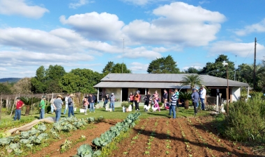 Oportunidades de diversificação na propriedade são apresentadas em Dia de Campo em Porto Vera Cruz