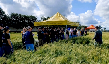 Dia de Campo aborda manejos e características de cultivares de trigo em Três de Maio