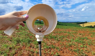 Programa Monitora Ferrugem instala 74 coletores de esporos no estado