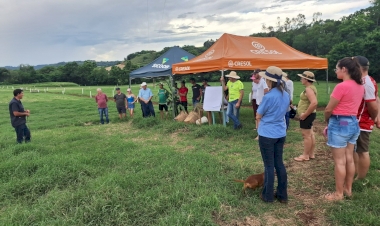 Produção de leite com lucratividade recebe ênfase em dia de campo