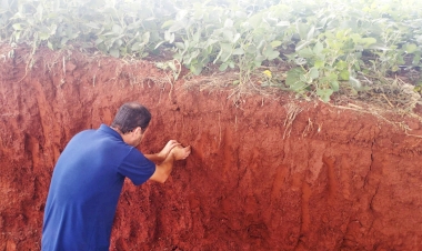 Setrem promove sustentabilidade no campo durante a Fenasoja 2024, em comemoração ao Dia Mundial do Solo