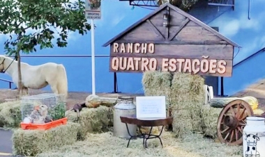 Fazendinha fará a alegria da criançada que visitar a Fenasoja 2024