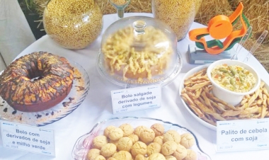 Visitantes da Fenasoja 2024 terão uma verdadeira experiência com a soja