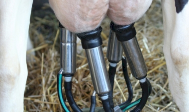 Pecuaristas do Brasil ganham nova opção de embalagem para proteger os animais contra parasitas