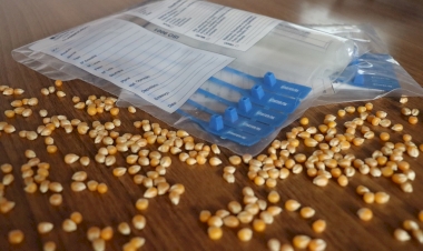 Produtores gaúchos podem solicitar análises físicas da qualidade de grãos junto à Emater/RS-Ascar