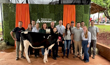 Cotrirosa marcou presença na Expoterneira com 40 animais e foi destaque em julgamento