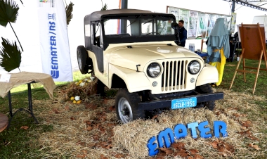 Hortigranjeiros: 70 anos da Ascar são celebrados em Santa Rosa