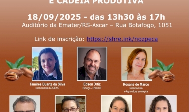 Seminário em Porto Alegre debate potencial nutricional e cadeia produtiva da noz-pecã