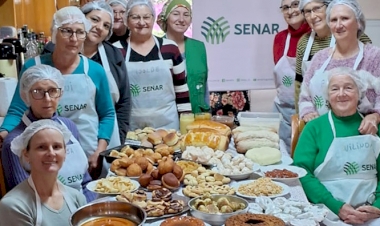 Do campo à mesa, mandioca ganha novas formas e sabores