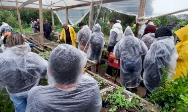 Jovens de Brasília participam de intercâmbio rural no Rio Grande do Sul