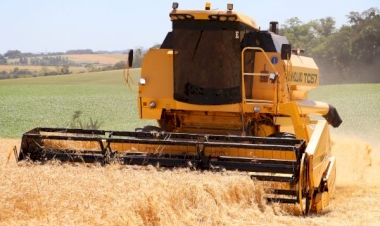 Colheita do trigo avança no RS