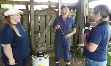 Jovens pecuaristas investem no IATF visando fortalecer a produção e garantir o futuro no campo