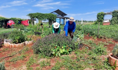 Emater/RS-Ascar prepara espaço diversificado na Expoagro Cotricampo