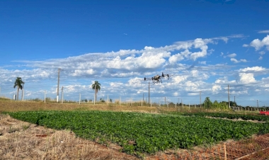 Fenasoja 2026: Exporural inova com Palco Semear, horário estendido e gastronomia diversificada