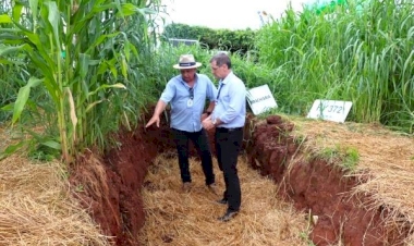 Expodireto Cotrijal: Operação Terra Forte evidencia práticas que tornam o solo mais produtivo e resiliente à seca