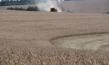 Colheita da soja alcança 10% área cultivada no RS