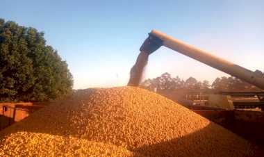 Fenasoja Soy Summit: Descarbonização e combustíveis verdes pautam o maior debate sobre soja do Brasil