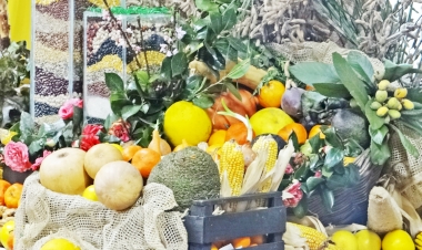 Agricultura Familiar receberá destaque com programação especial em Santa Rosa
