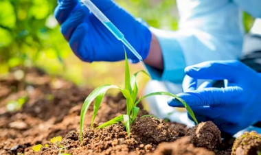 Bioinsumos: a agricultura do futuro