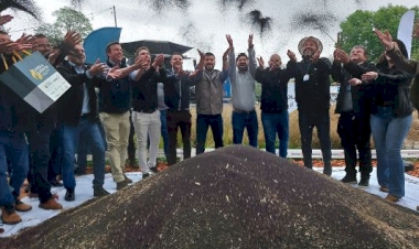 Abertura da colheita da canola e da carinata acontece na Expofest em Ijuí