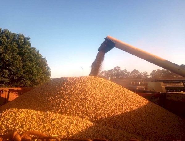 Fenasoja Soy Summit: Descarbonização e combustíveis verdes pautam o maior debate sobre soja do Brasil