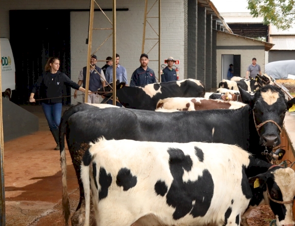Pecuária começa a receber os animais nesta segunda-feira na Fenasoja
