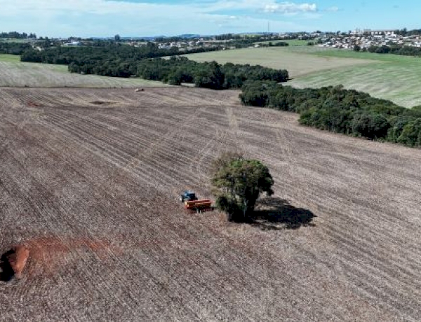 Produtores gaúchos preparam plantio das culturas de inverno