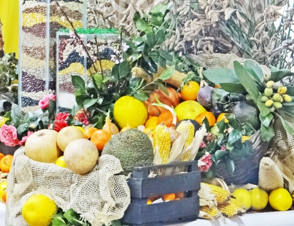 Agricultura Familiar receberá destaque com programação especial em Santa Rosa