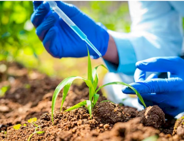Bioinsumos: a agricultura do futuro