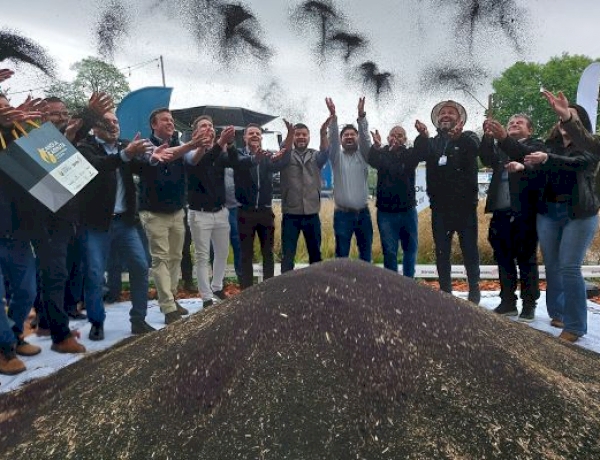 Abertura da colheita da canola e da carinata acontece na Expofest em Ijuí