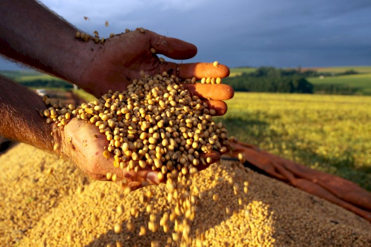 Com a soja em destaque, RS bate recorde na exportação agrícola no trimestre