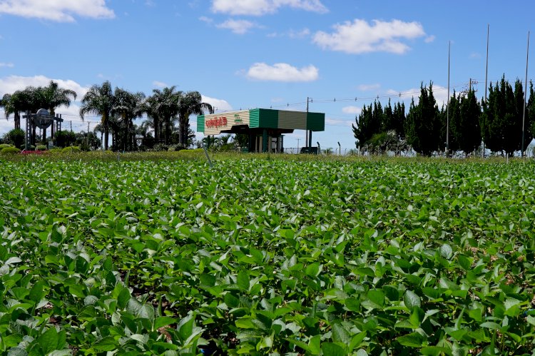 Expodireto Cotrijal: parque da feira já está movimentado