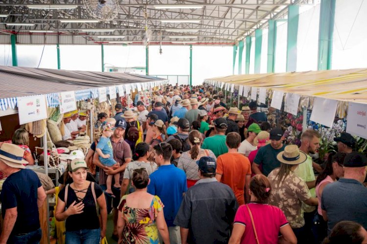 Pavilhão da Agricultura Familiar da 24ª Expodireto terá mais de 190 estandes e diversidade de produtos
