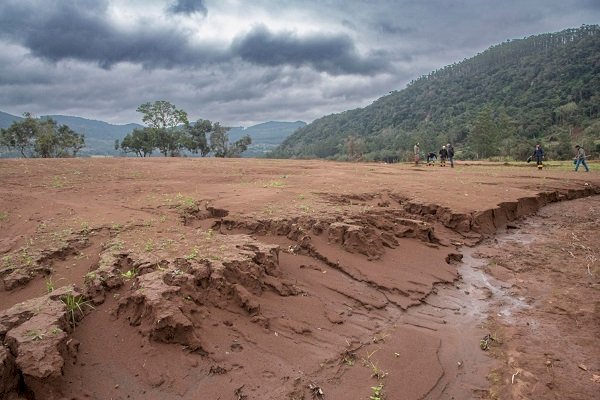 Boas práticas de manejo são destaque no Dia da Conservação do Solo