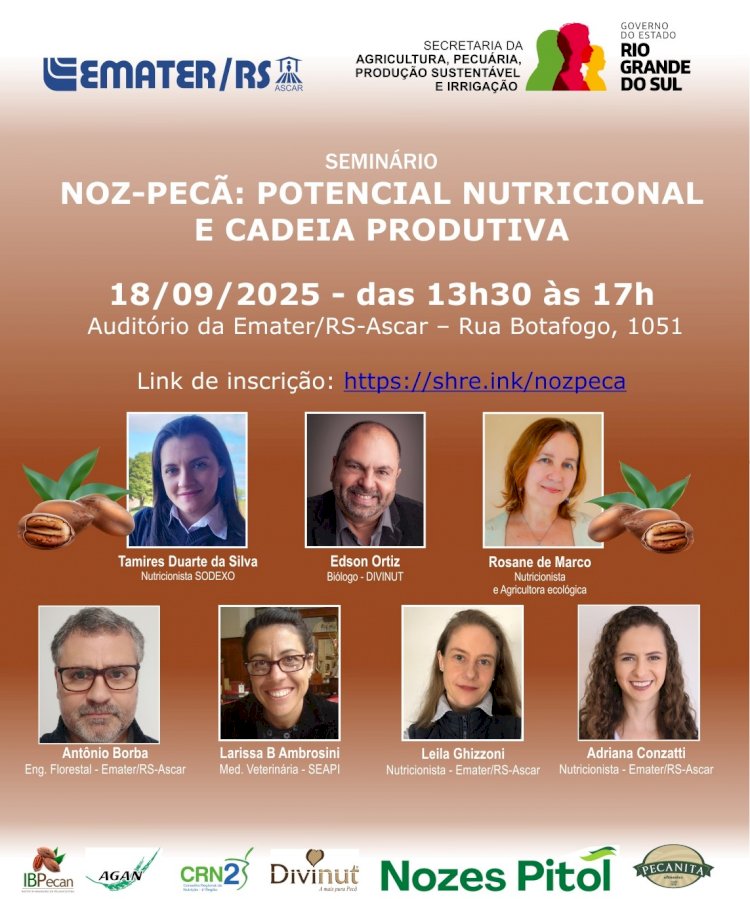 Seminário em Porto Alegre debate potencial nutricional e cadeia produtiva da noz-pecã