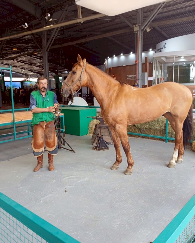 Associados da Unitec ministram oficinas do Senar-RS na Expointer