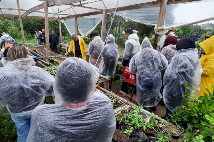 Jovens de Brasília participam de intercâmbio rural no Rio Grande do Sul