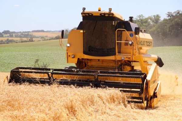 Colheita do trigo avança no RS