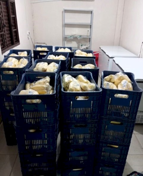 Agricultores e agroindústrias de São Paulo das Missões se destacam com produção de milho verde e olerícolas