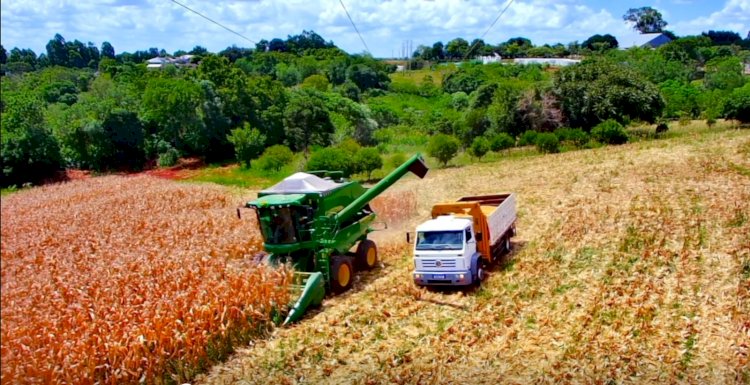 Centro Regional de Treinamento da FAHOR transforma colheita de milho em aprendizado e inovação para o agro regional
