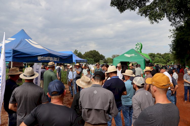 Produtores da região de Santa Rosa buscam orientações em dia de campo sobre soja
