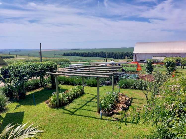 Emater/RS-Ascar prepara espaço diversificado na Expoagro Cotricampo